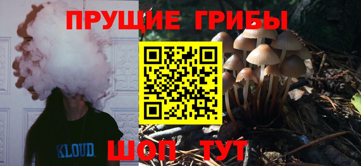 наркота  Вход с VPN  Галлюциногенные грибы прущие грибы  Александров  Псилоцибиновые грибы мухоморы 
